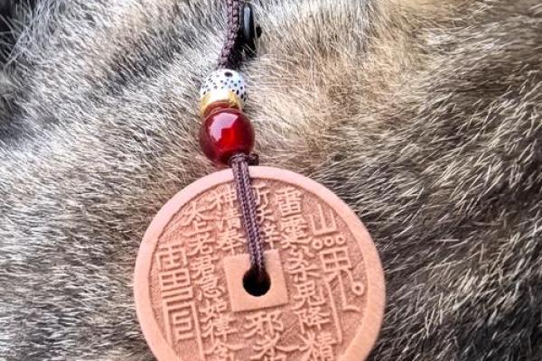 为什么桃木辟邪有什么讲究风水禁忌