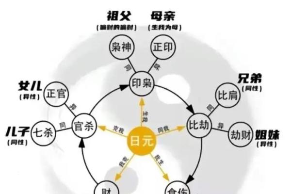 八字基础视频