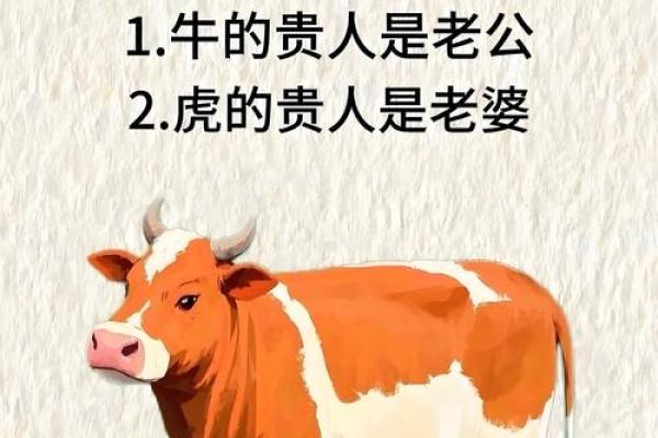 属鼠和属狗的八字合不合得来,属狗的跟属鼠的合财吗