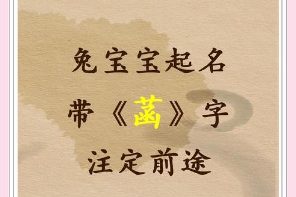 600个适宜2011年兔宝宝的吉祥好名字-姓名学-姓名分析姓名