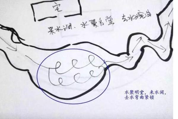 风水的水原来都是财，有钱人都这么做！