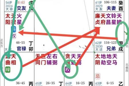 莫西老师紫薇斗数