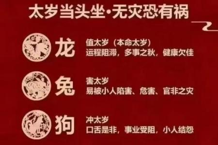 紫薇斗数太岁小限