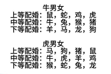 婚姻属相配对大全很准