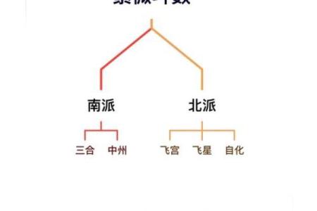 庄氏飞星派紫微斗数 庄氏飞星派紫微斗数入门票 初阶篇 中？