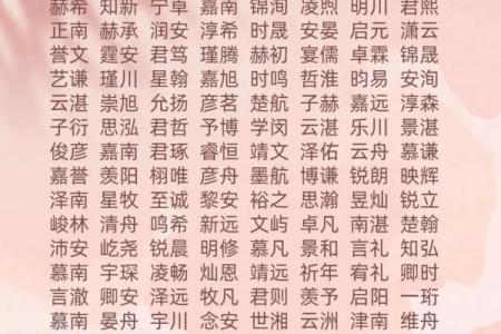 2019年6月21号寅时出生的男孩起名时要注意什么姓名