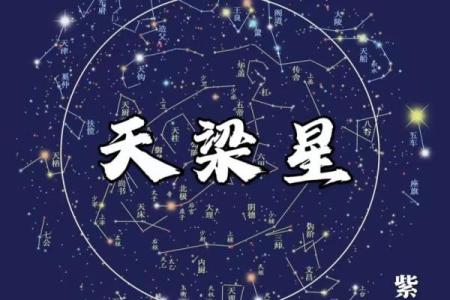 紫薇斗数看胖瘦