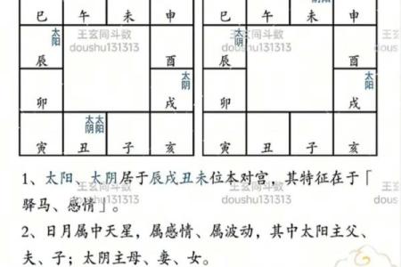 子由紫薇斗数