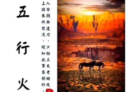 八字中火代表什么