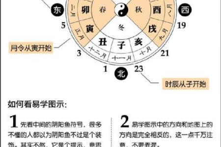 八字基础视频