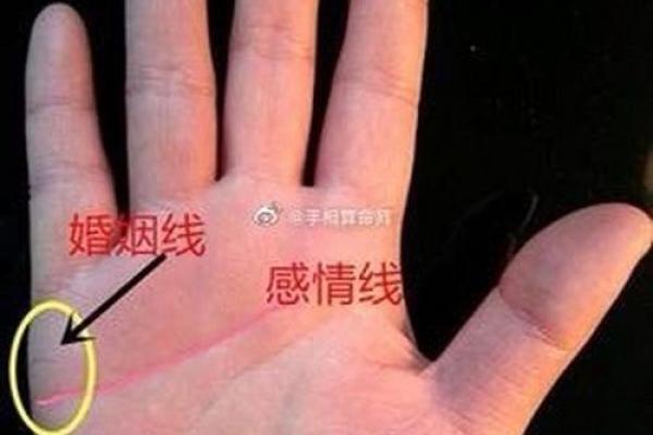看手相算命：第二课 婚姻感情