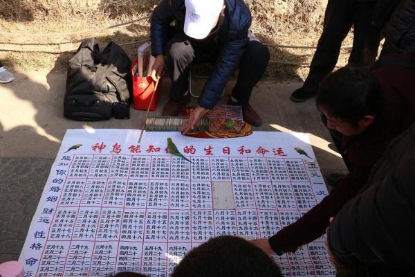 姻缘测字三藏算命 三藏测字免费？