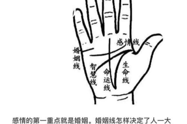 免费扫一扫看手相算命,扫一扫看手相算命
