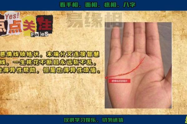 免费算命 异性缘很好的女命有哪些