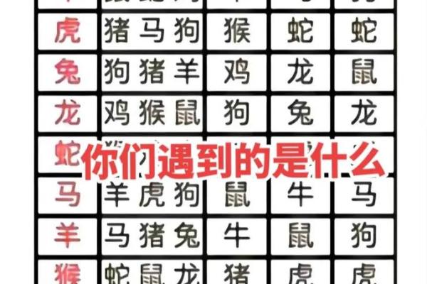 八字是什么肖