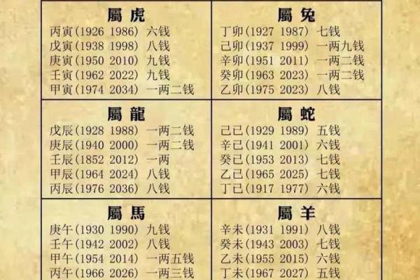 八字命理-2024年农历八月初五的孩子命运详解
