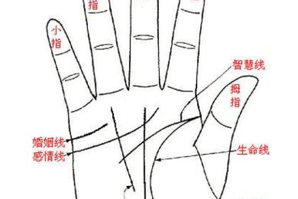 看手相算命：第一课 手相概论