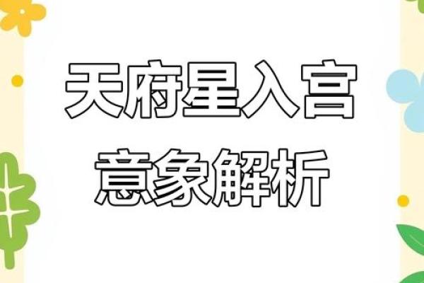 紫微斗数诸星落诸宫之：天府星夫妻宫详解