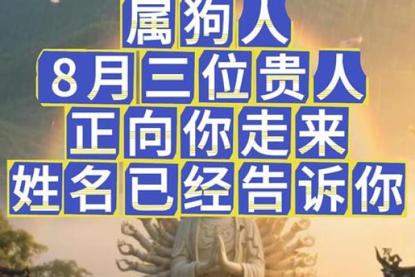 下午出生的属狗男孩取什么名，宜用什么字姓名