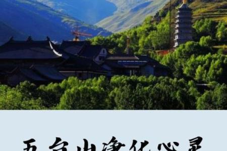 五台山的签很灵吗