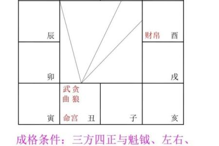 紫薇斗数反格