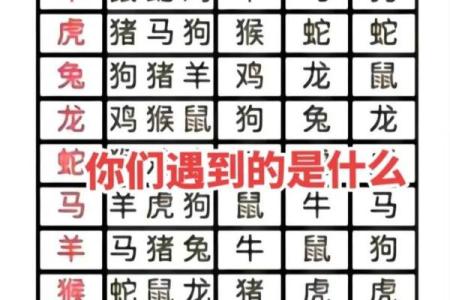 八字是什么肖