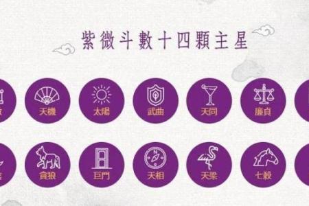紫薇斗数星象都是什么意思