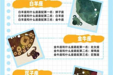 处女座和射手座友情配对怎么样