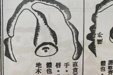财帛宫武曲破军 财武破军八字命盘如何解析