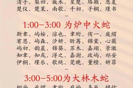 2019年3月24号亥时出生的男孩起名时要注意什么姓名