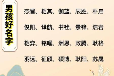 2019年6月14号子时出生的男孩应该起什么样的名字姓名