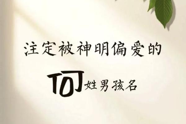 何姓男孩名字大全-何姓男孩起名字大全-何姓名字大全姓名
