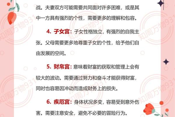 紫微斗数术语解释之：对星