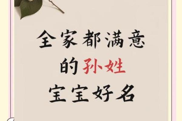 孙姓男孩名字大全-孙姓男孩起名字大全-孙姓名字大全姓名
