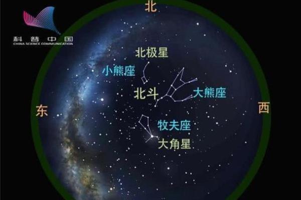 小熊星座性格特点及配对解析，最全面的小熊座分析