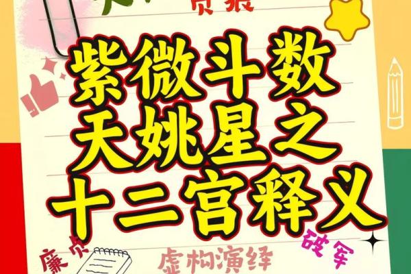 紫微斗数官禄宫天姚