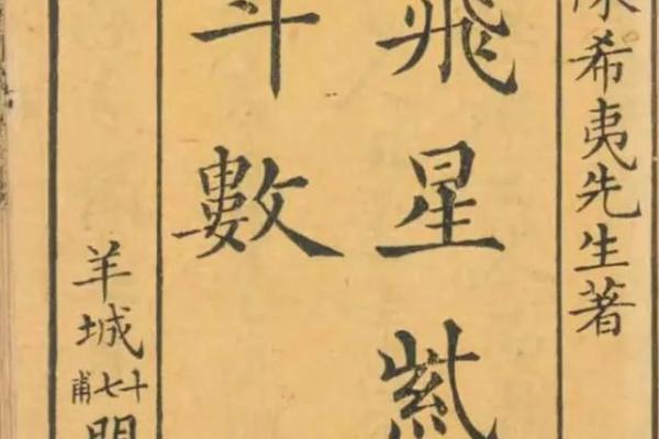 我的之一本紫薇斗数书
