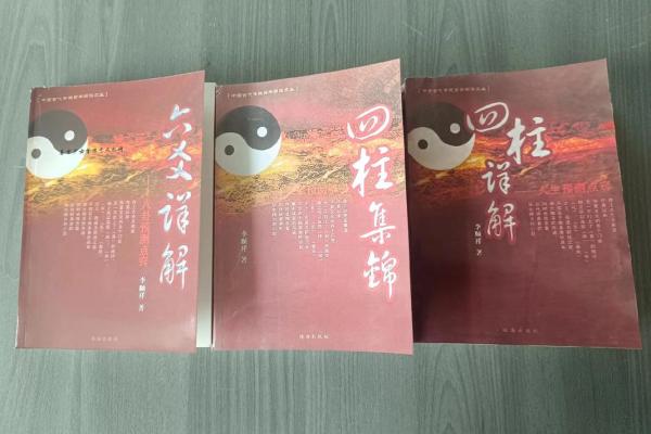 我的之一本紫薇斗数书