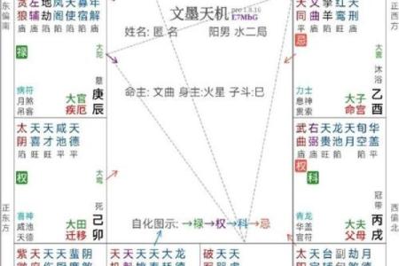 大数据紫薇斗数