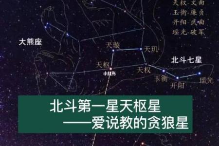 紫微斗数之疾厄宫与诸星，贪狼星在疾病宫是什么意思？