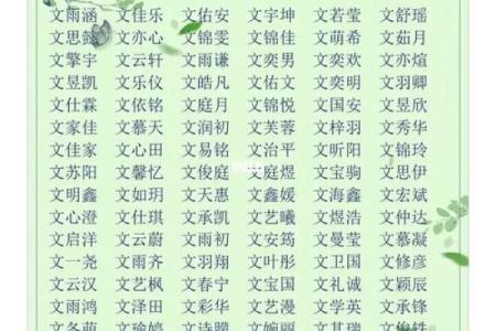 谈姓男孩名字大全-谈姓男孩起名字大全-谈姓名字大全姓名