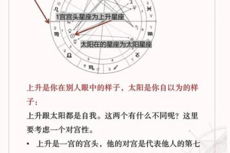 太阳星座蓝斯诺：个性、爱情、事业详解