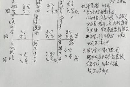 生辰八字夫妻宫壬水