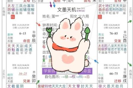 紫薇斗数的故事