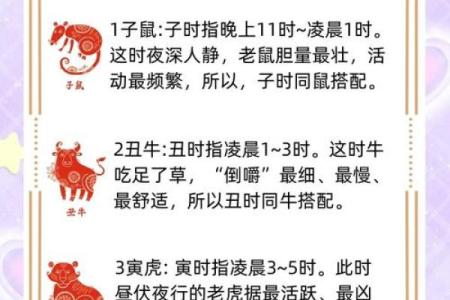 十五生肖：探索属鼠者的个性特征和相性配对
