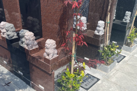 阴宅风水骨灰迁移什么风水讲究